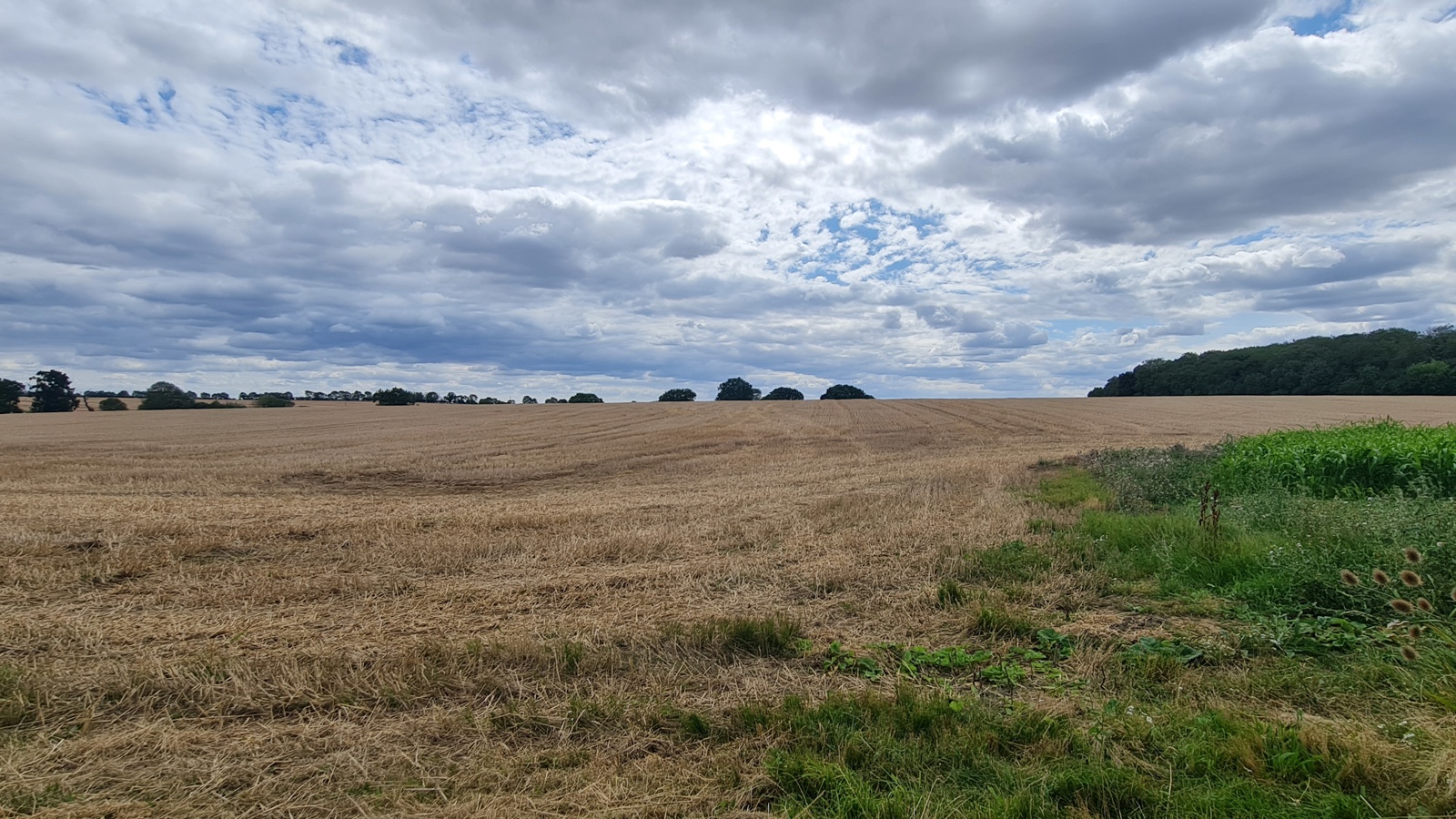 Image of 20230825_134421