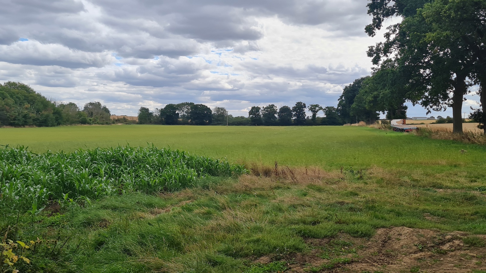 Image of 20230825_142417