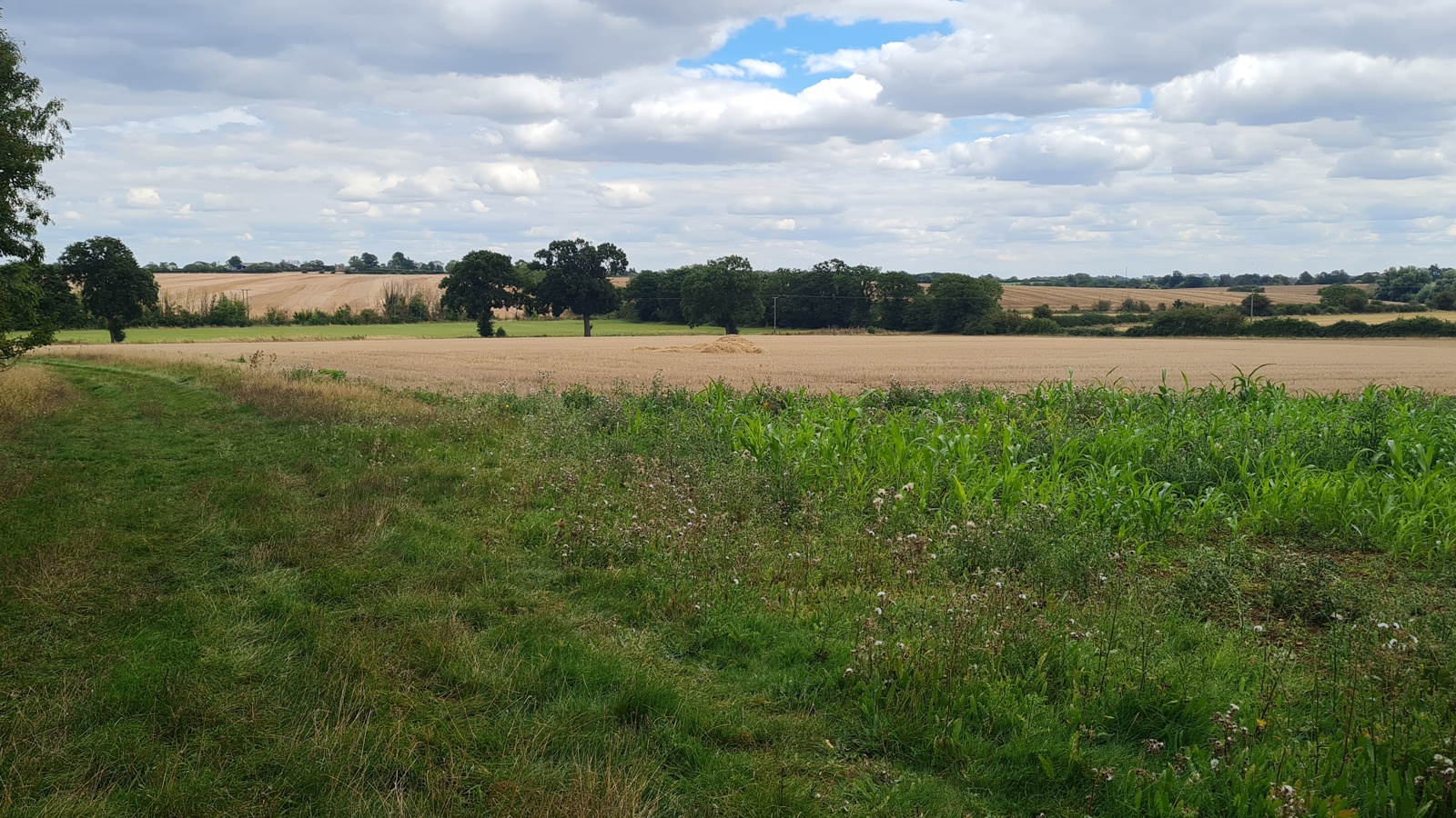 Image of 20230825_142801