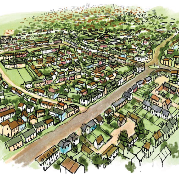 Image of Leg Dev graphic 2