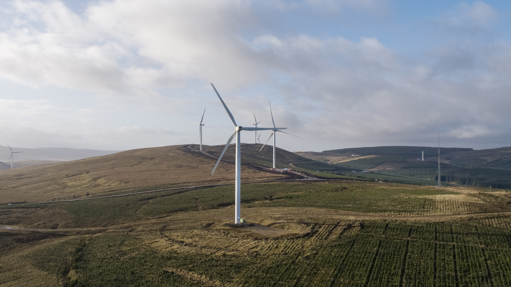 Image of Cumberhead_017