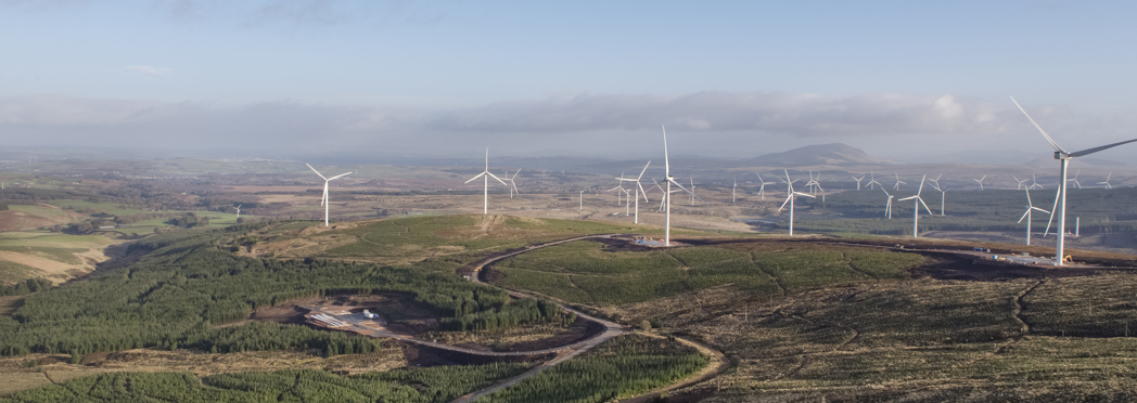 Image of Cumberhead_002