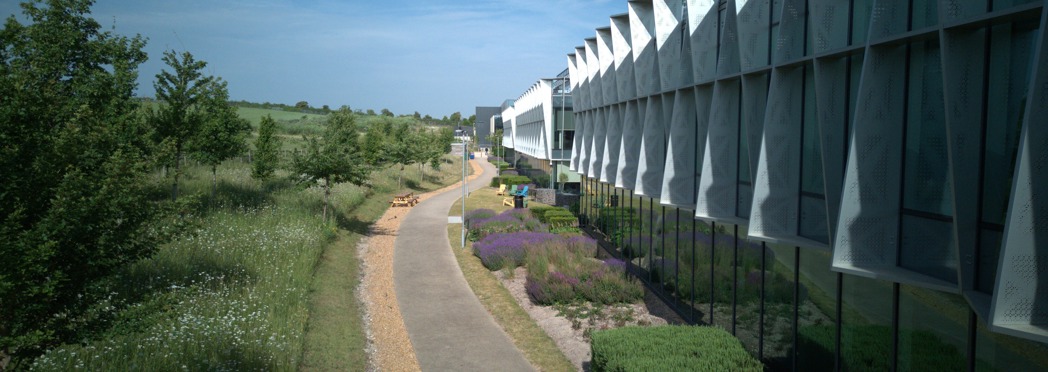 Image of DJI_20250612085607_0054_D