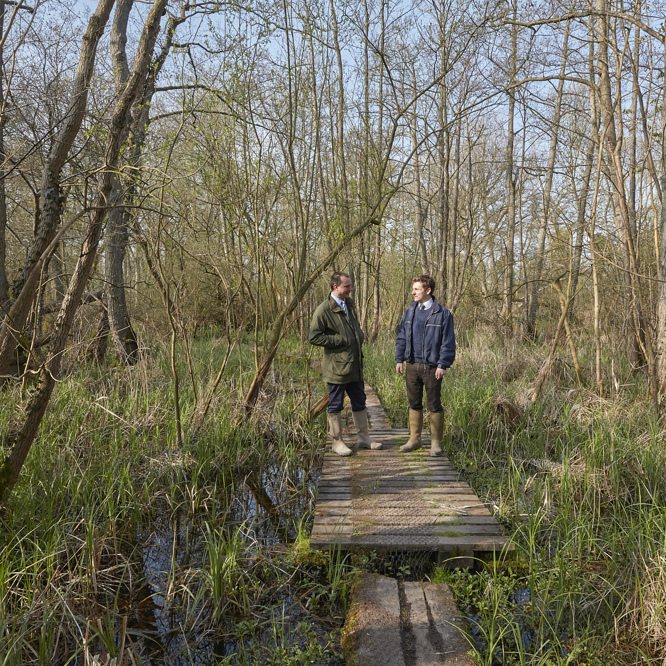 Image of Fordham_Wet_Woods_And_Great_Wilbraham_210421 9