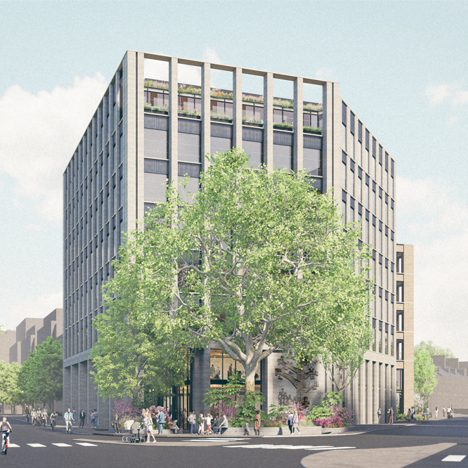 Image of Junction View_trees