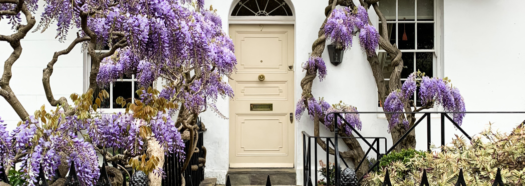 Image of AdobeStock_433152396