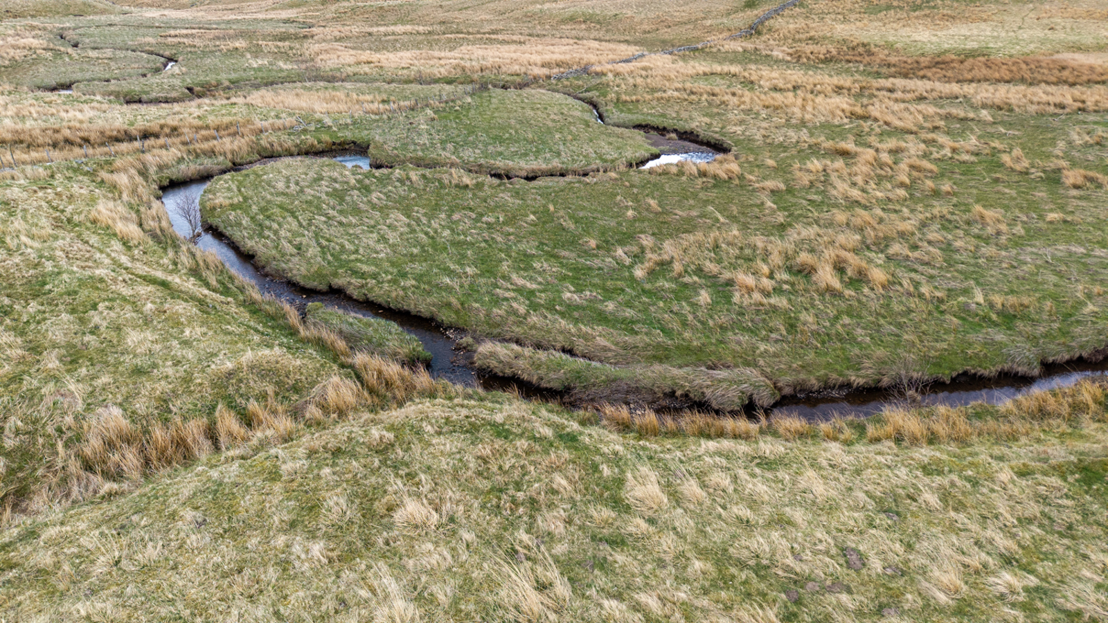 Image of Swinhope Head - EG - 25 -47