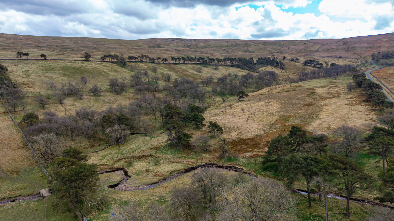Image of Swinhope Head - EG - 25 -59