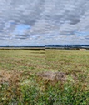 Kingsland Farm, Huntingdon