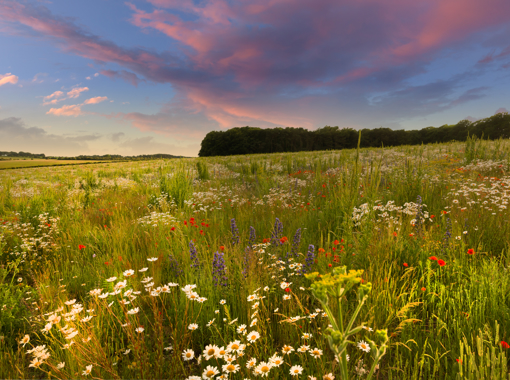 Image of Bedfordshire