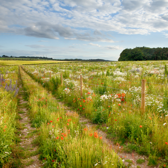 Image of East Cambirdgeshire