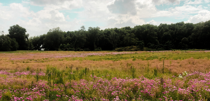 Image of Government response (1)