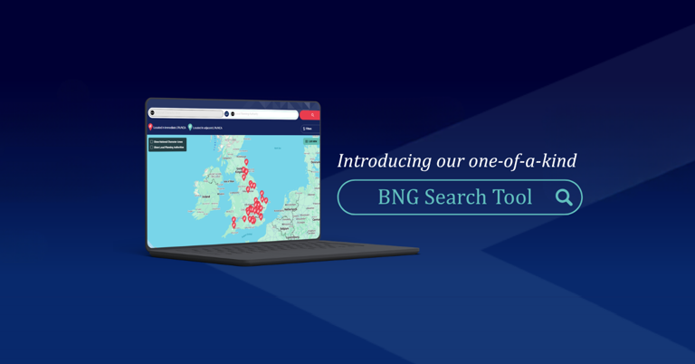 Image of Mailer Header