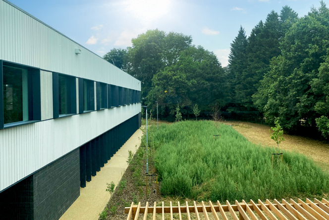 Image of B355_N2 Edited V2