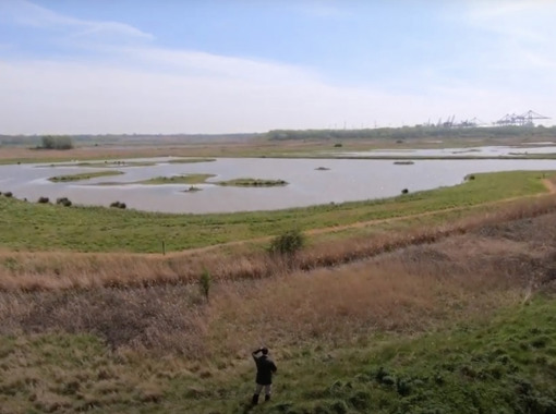 Bidwells Biodiversity for developers picture