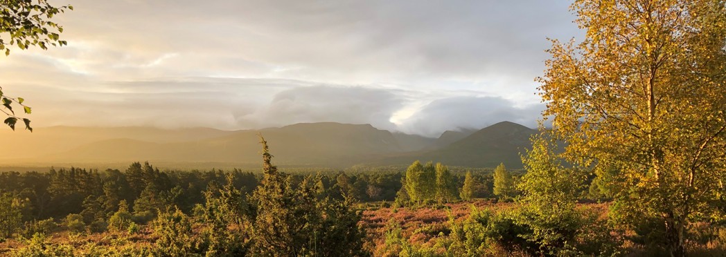 Cairngorm sunrise
