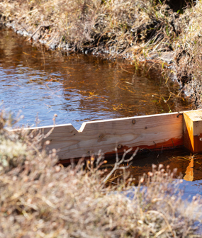 Image of Blackmount – Scotland 99