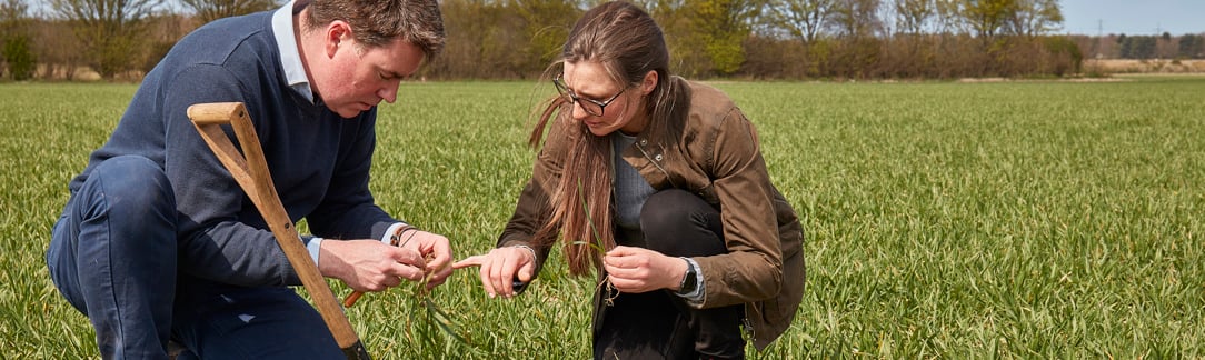 Fordham_Wet_Woods_And_Great_Wilbraham_210421 40