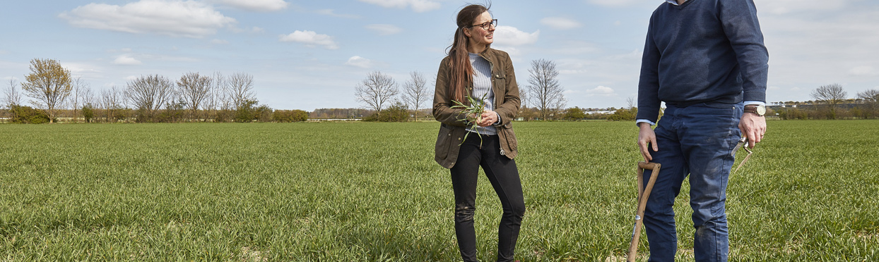 Fordham_Wet_Woods_And_Great_Wilbraham_210421 45