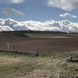 Image of 20250328_130840925_iOS (1)