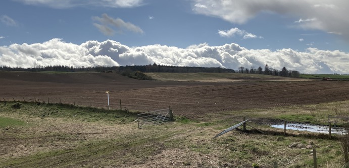 Image of 20250328_130840925_iOS (1)