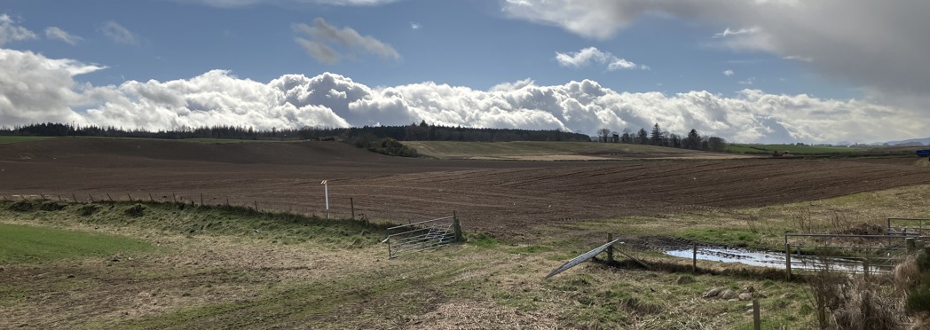 Image of 20250328_130840925_iOS (1)