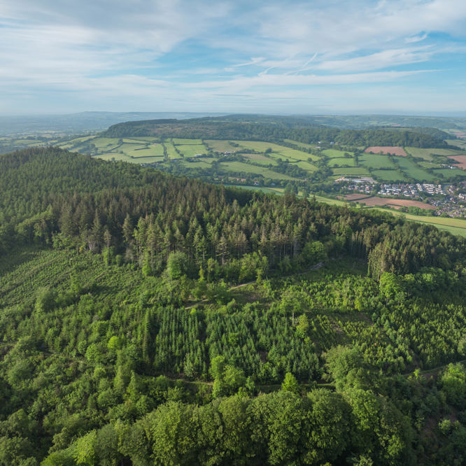 Image of DJI_20260521184504_0115_D