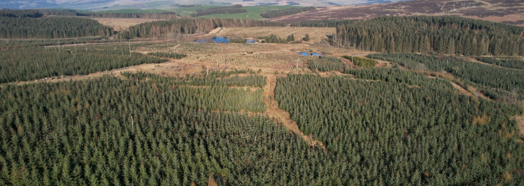 Image of Harehope