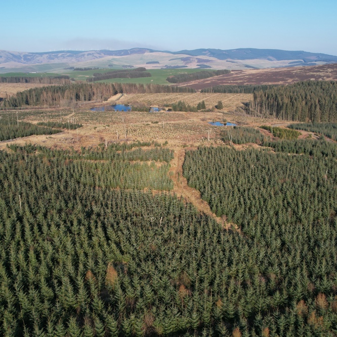 Image of Harehope