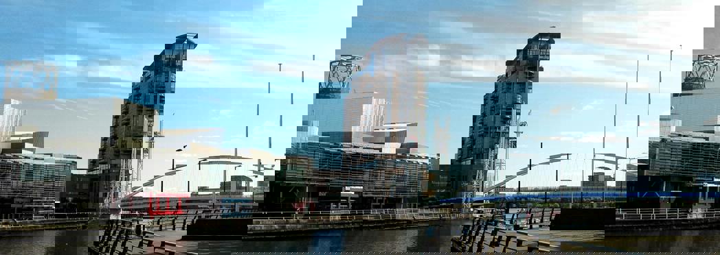 Image of pexels-johny-rebel-the-explorer-panda-114076-388279