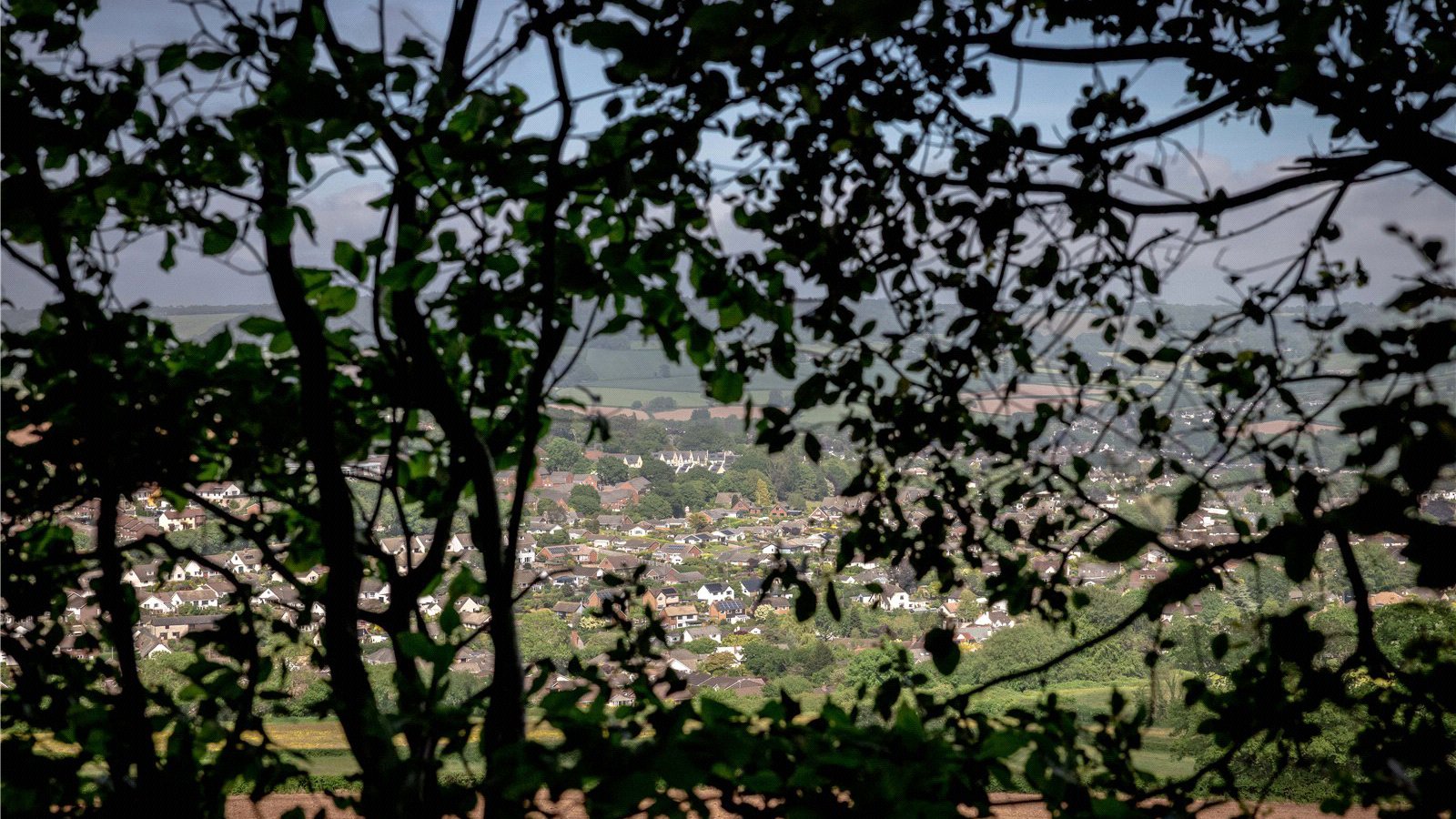 Picture No. 07.jpg Picture No. 07