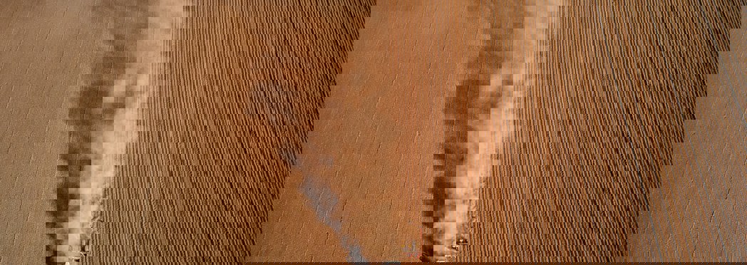 red-zeppelin-wK8FotlDnrc-unsplash