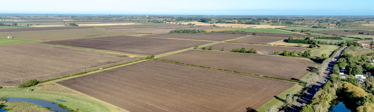 Image of Grange Farm, Stretham 2