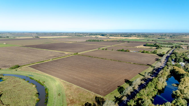 Image of Grange Farm, Stretham 2