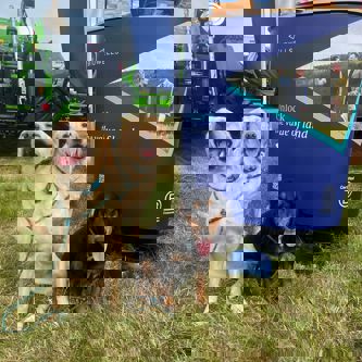 Image of WhatsApp Image 2025-07-21 at 08.33.21 (3)