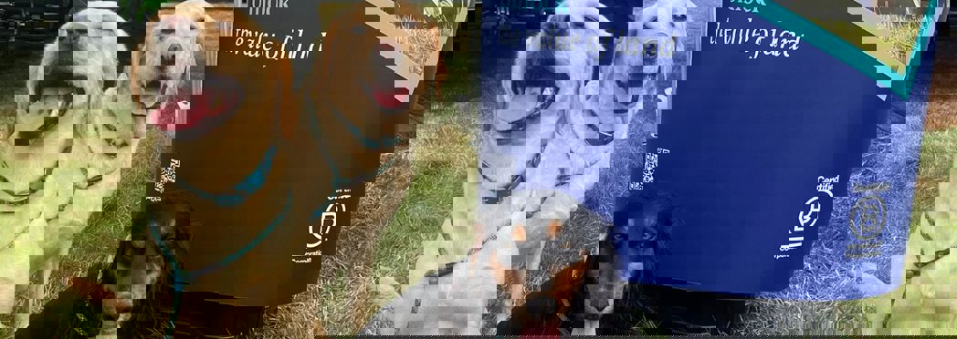 Image of WhatsApp Image 2025-07-21 at 08.33.21 (3)