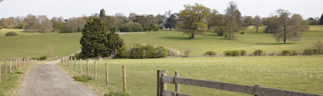 Image of WrothamPark22