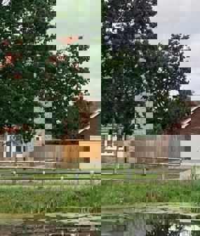 Environmental Impact Assessment