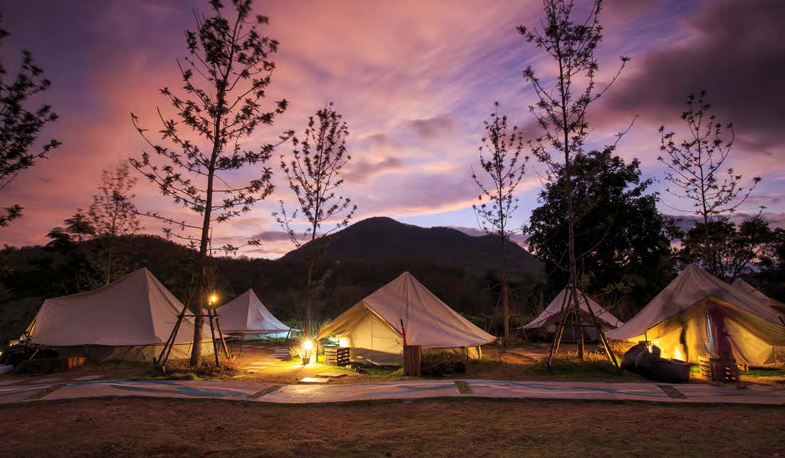 diversify - Rural Outlook 24pp brochure 2021.jpg